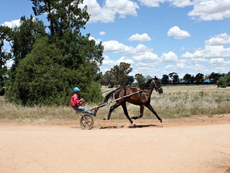 Sold - 37 Tewkesbury Road - New Property in Temora - Real Estate by 