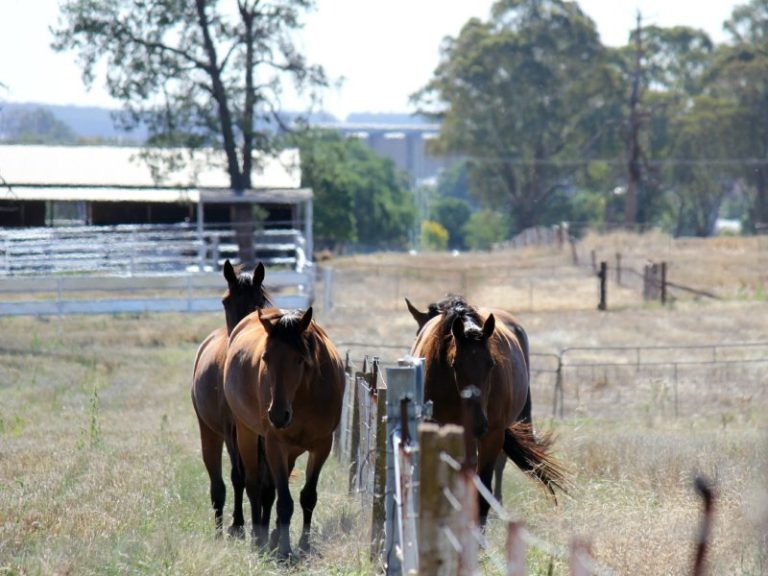Sold - 37 Tewkesbury Road - New Property in Temora - Real Estate by 