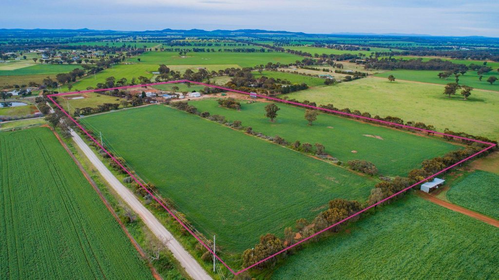 Sold - 7699 Milvale Road - New Property in Temora - Real Estate by Lachlan Pellow