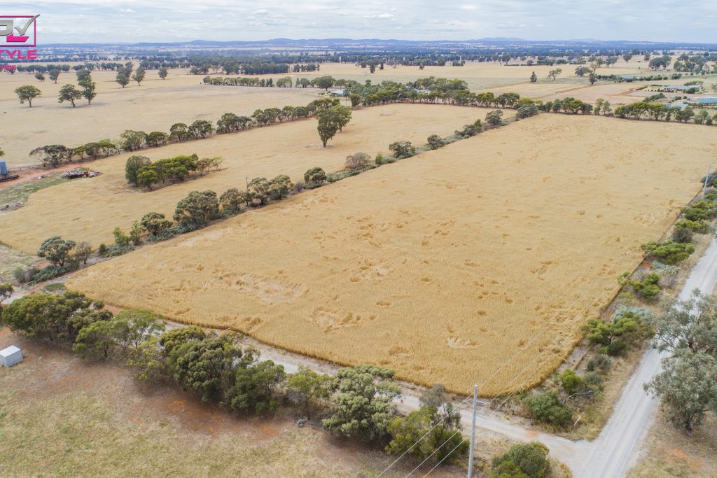 Sold - 7699 Milvale Road - New Property in Temora - Real Estate by Lachlan Pellow