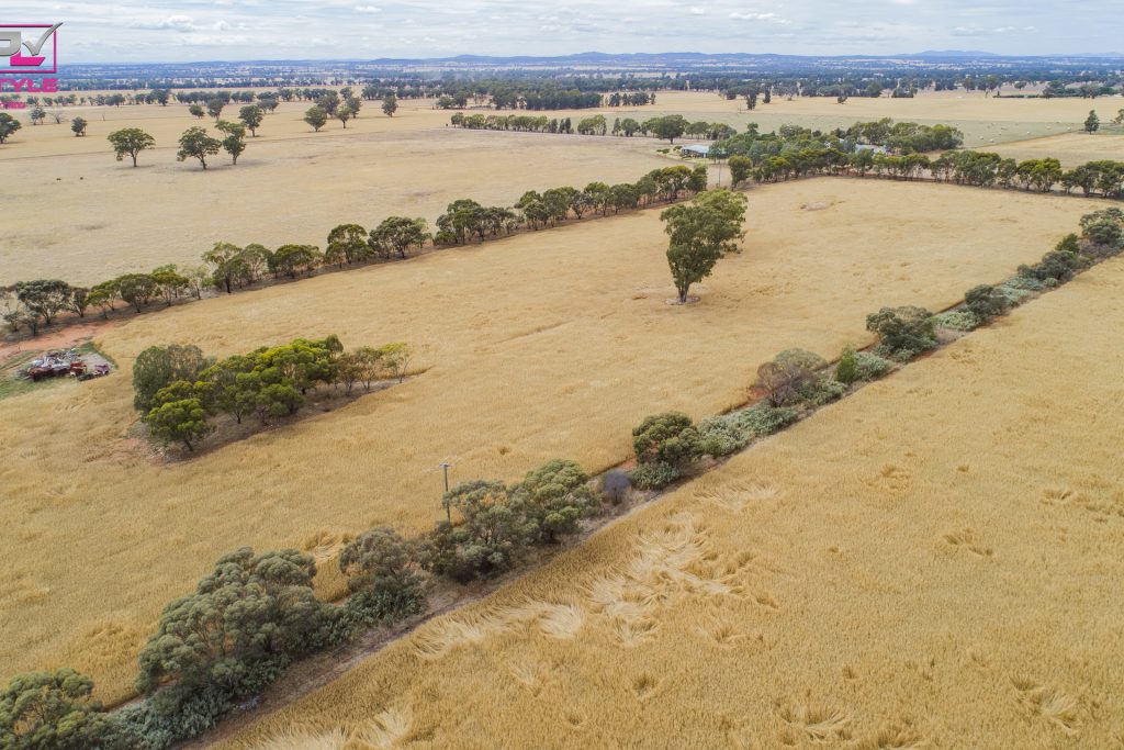 Sold - 7699 Milvale Road - New Property in Temora - Real Estate by Lachlan Pellow