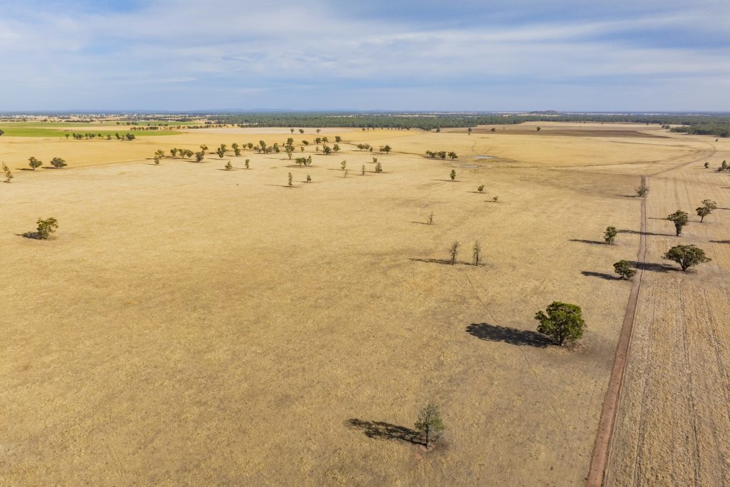 Sold - 1152 Central Island Road - New Property in Galore - Real Estate by Jason Haines