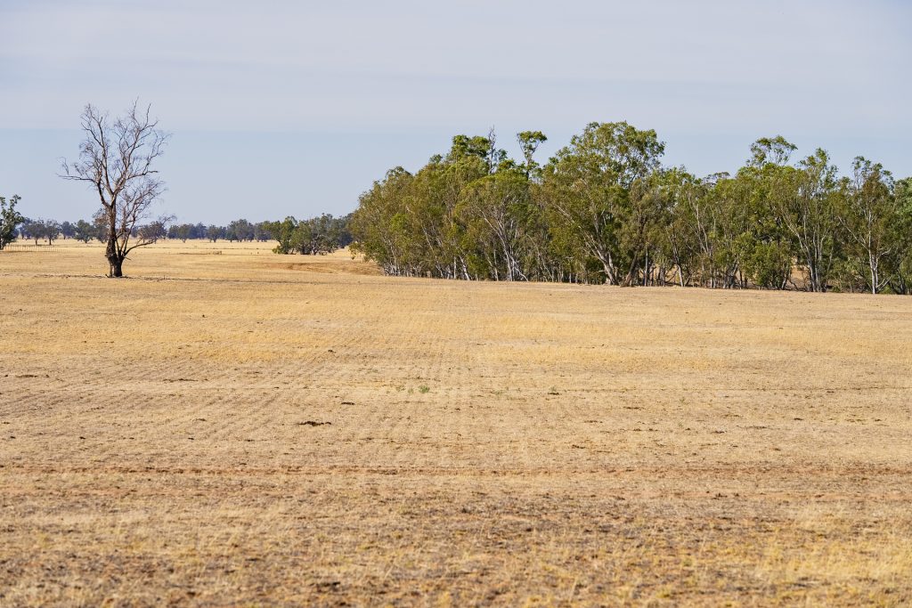 Sold - 1152 Central Island Road - New Property in Galore - Real Estate by Jason Haines