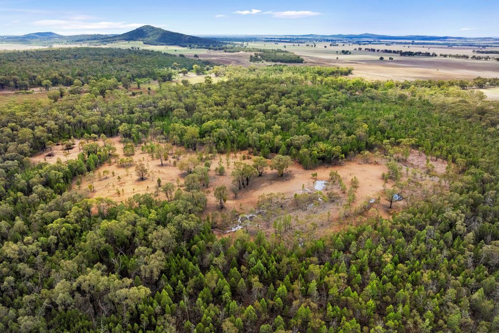 Sold - 680 Schlunkes Road - New Property in Temora - Real Estate by Lachlan Pellow