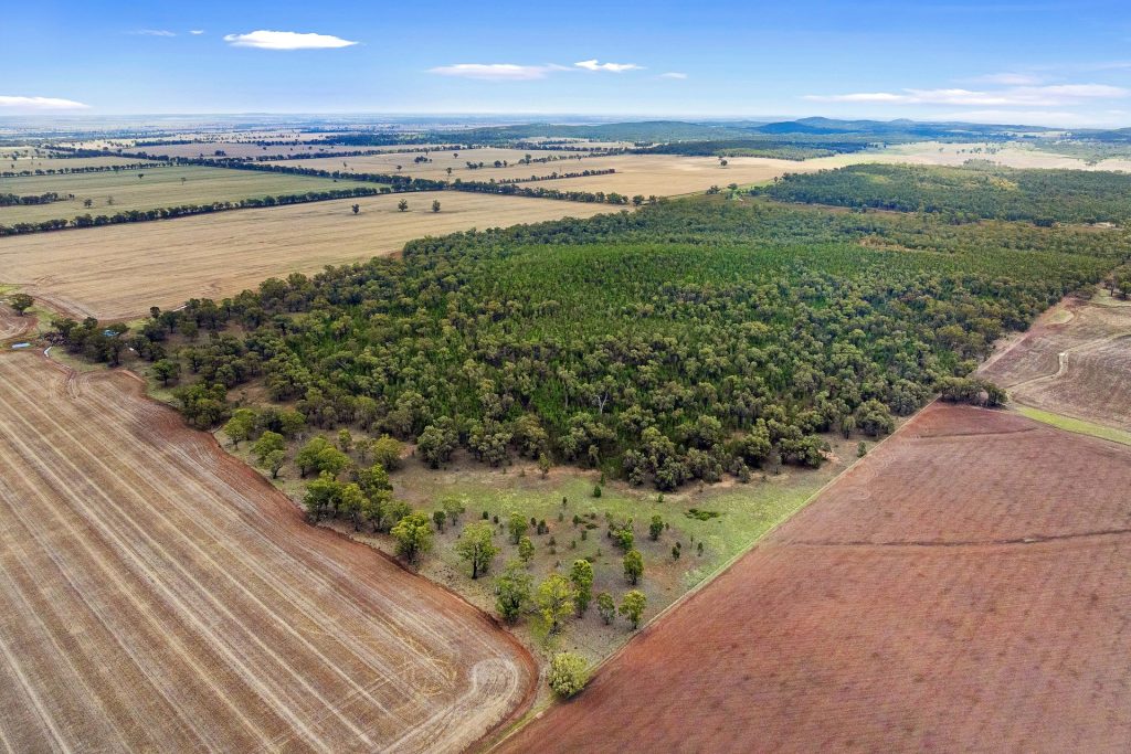 Sold - 680 Schlunkes Road - New Property in Temora - Real Estate by Lachlan Pellow