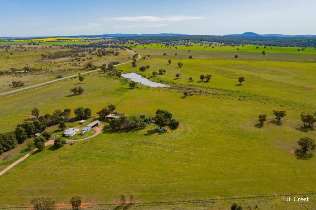 For Sale -  Kamarah Road - New Property in Narrandera - Real Estate by Craig Pellow