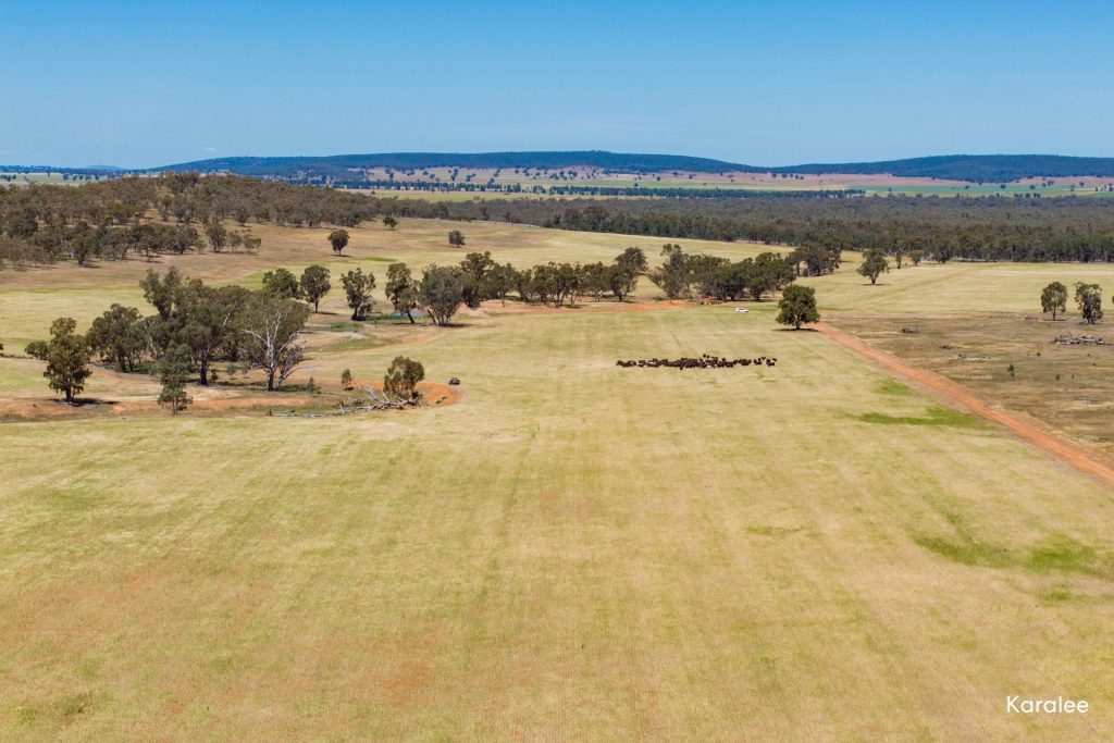 For Sale -  Kamarah Road - New Property in Narrandera - Real Estate by Craig Pellow