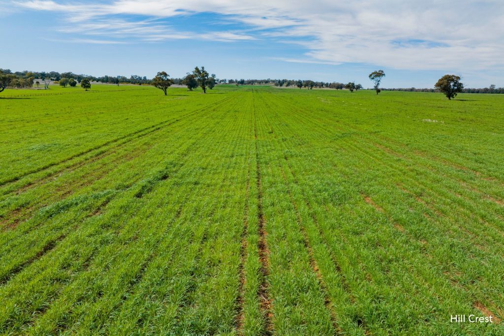 For Sale -  Kamarah Road - New Property in Narrandera - Real Estate by Craig Pellow