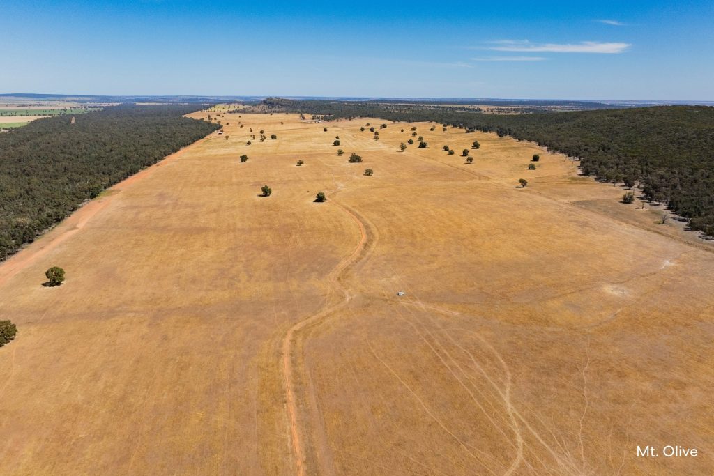 For Sale -  Kamarah Road - New Property in Narrandera - Real Estate by Craig Pellow
