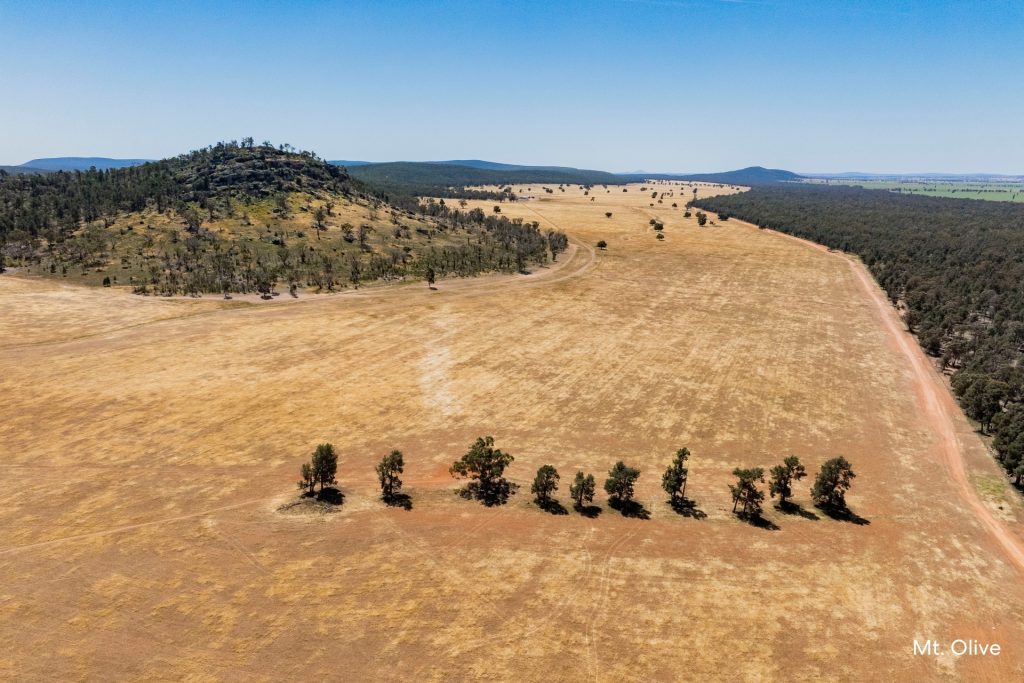 For Sale -  Kamarah Road - New Property in Narrandera - Real Estate by Craig Pellow