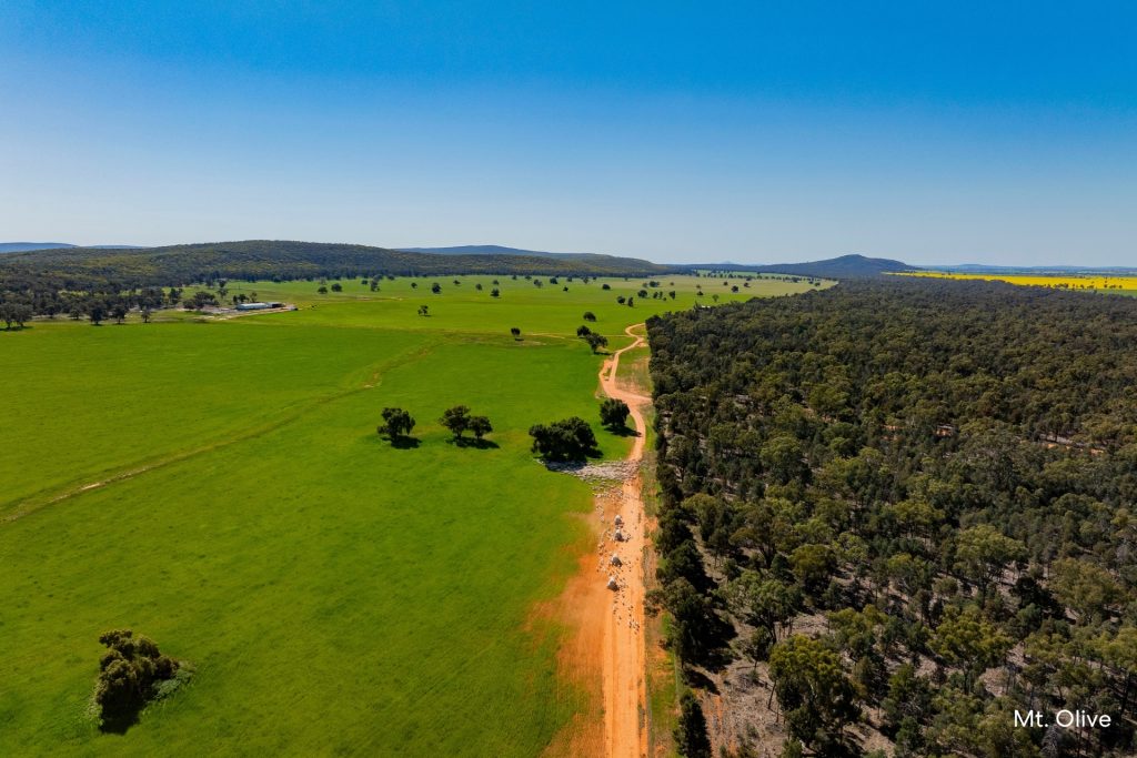 For Sale -  Kamarah Road - New Property in Narrandera - Real Estate by Craig Pellow