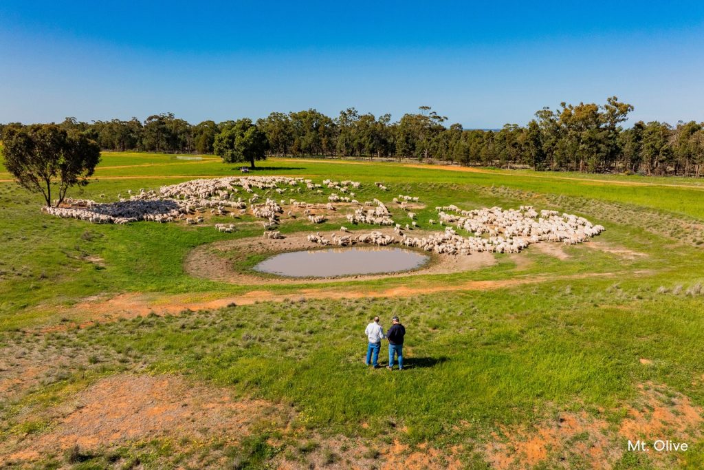 For Sale -  Kamarah Road - New Property in Narrandera - Real Estate by Craig Pellow