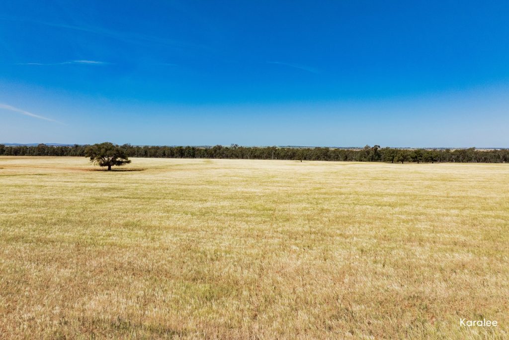 For Sale -  Kamarah Road - New Property in Narrandera - Real Estate by Craig Pellow