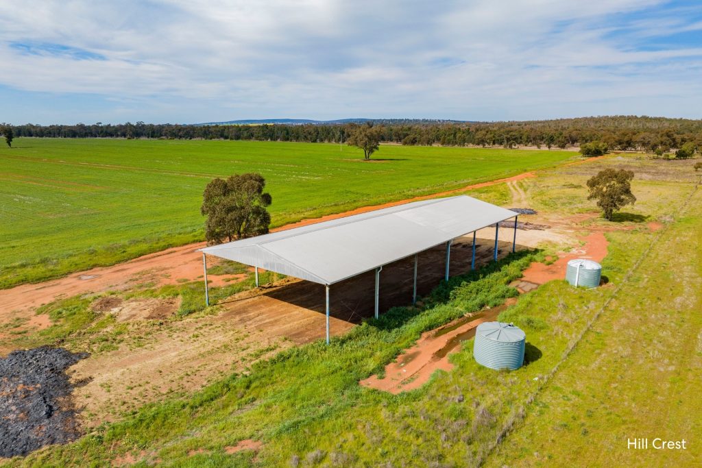For Sale -  Kamarah Road - New Property in Narrandera - Real Estate by Craig Pellow