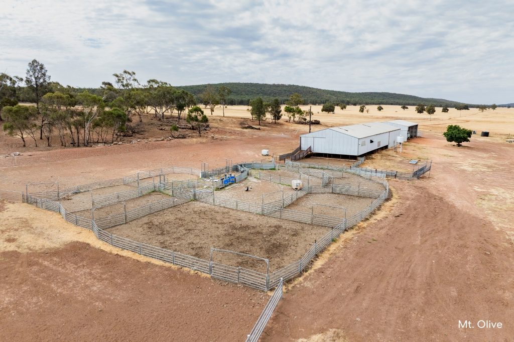 For Sale -  Kamarah Road - New Property in Narrandera - Real Estate by Craig Pellow