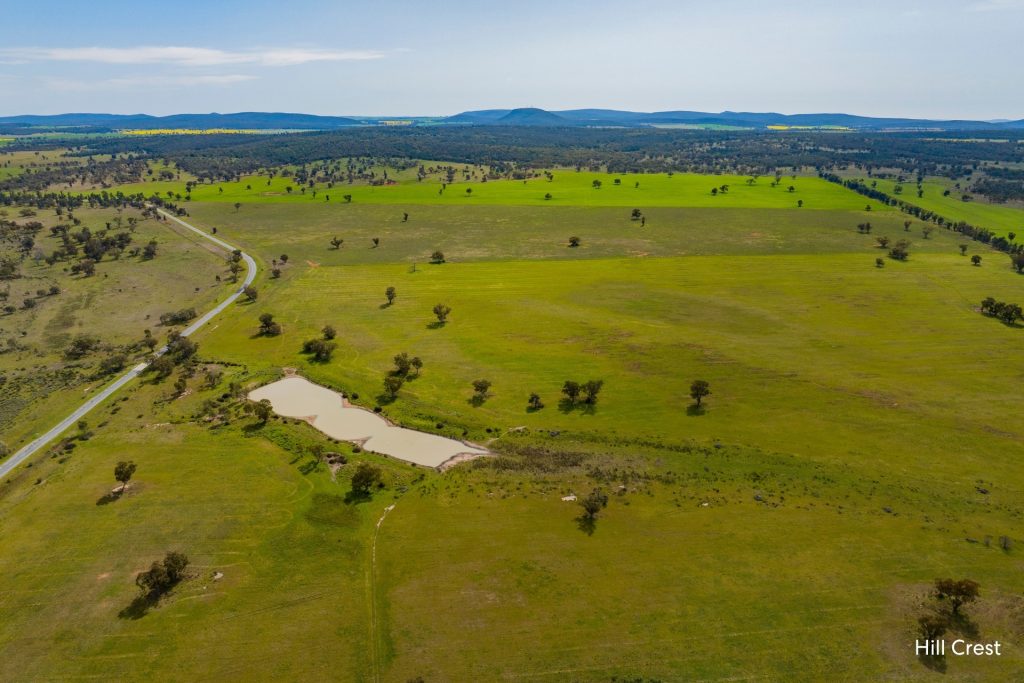 For Sale -  Kamarah Road - New Property in Narrandera - Real Estate by Craig Pellow