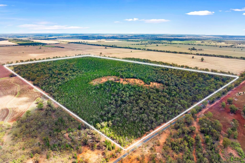 Sold - 680 Schlunkes Road - New Property in Temora - Real Estate by Lachlan Pellow
