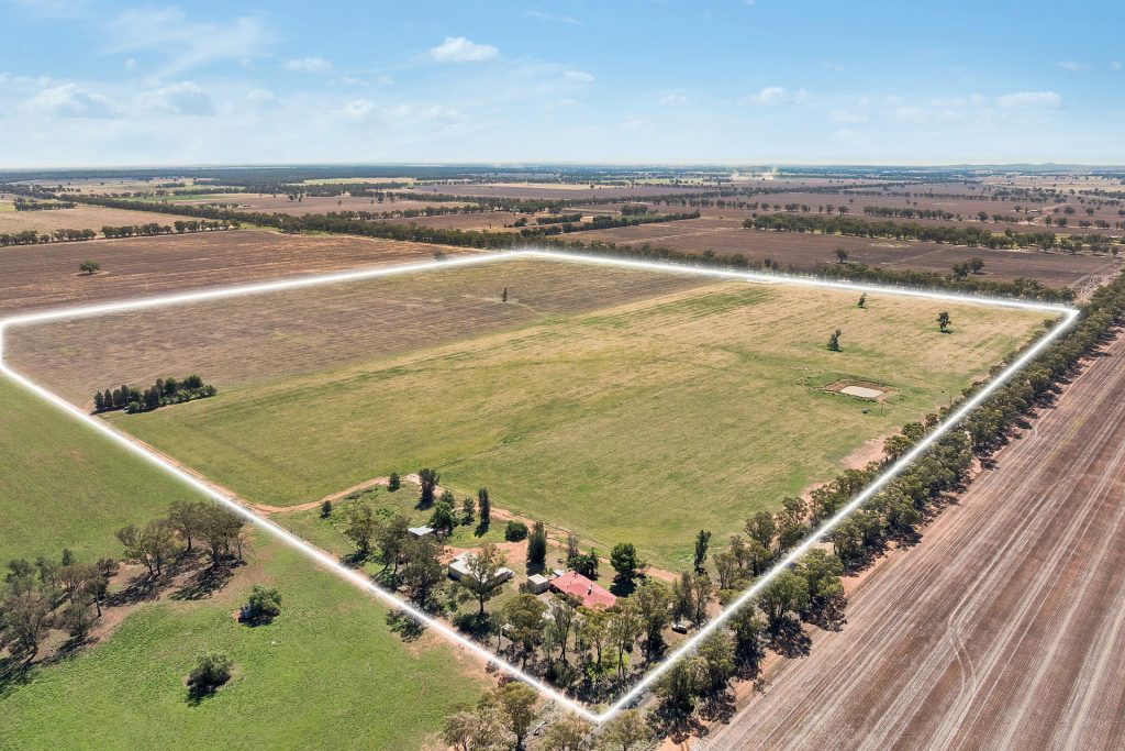 For Sale - 80 Derricks Road - New Property in Temora - Real Estate by Lachlan Pellow