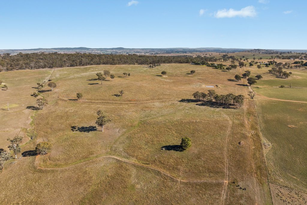 For Sale - 1196 Stockinbingal Road - New Property in Cootamundra - Real Estate by Lachlan Pellow