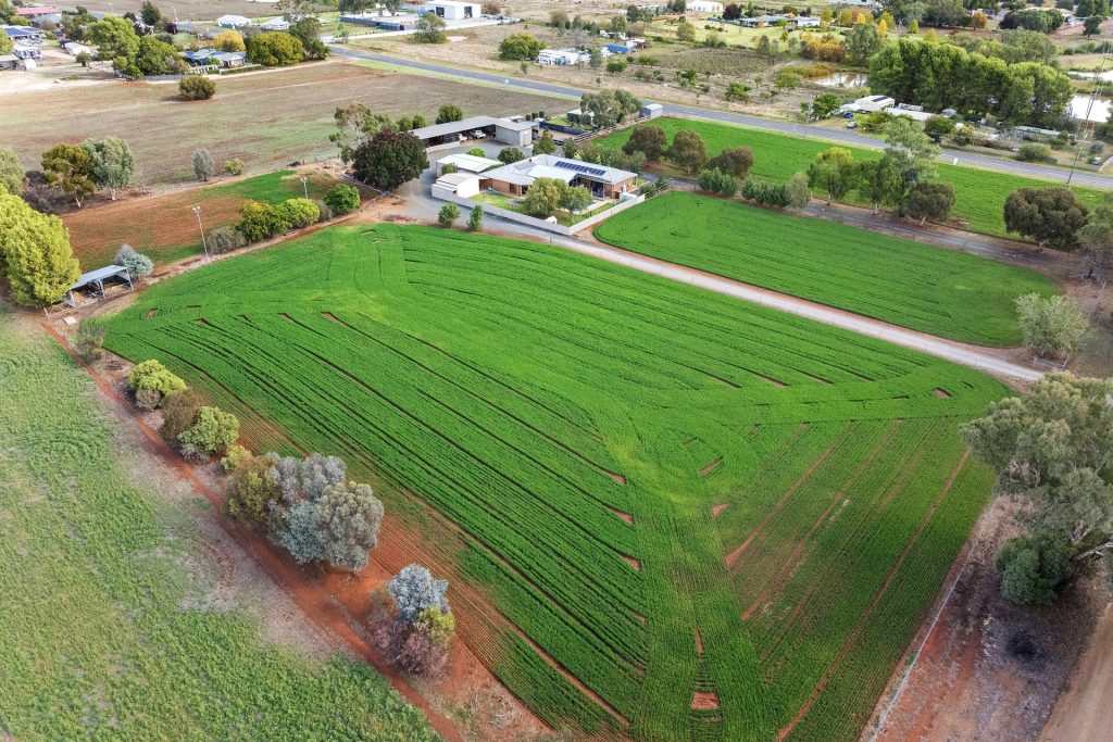 For Sale - 94 Trungley Hall Road - New Property in Temora - Real Estate by Lachlan Pellow