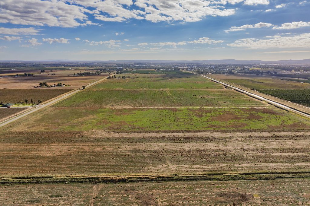 For Sale - 385 Toorak Road - New Property in Yanco - Real Estate by Jason Haines