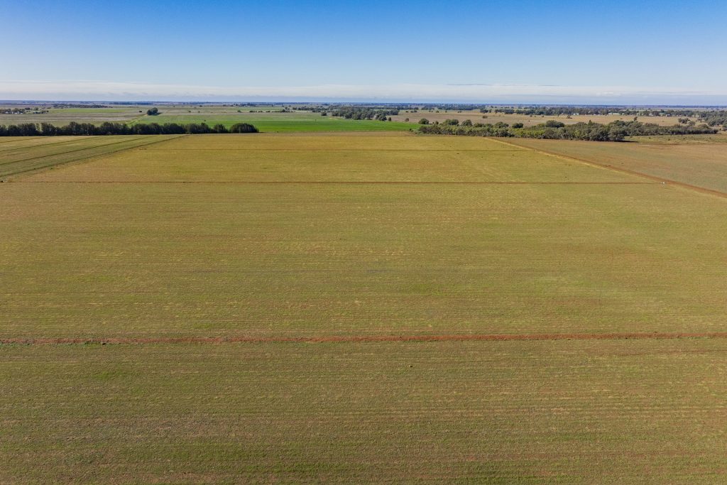 Sold - 762 Channel Nine Road - New Property in Coleambally - Real Estate by Jason Haines