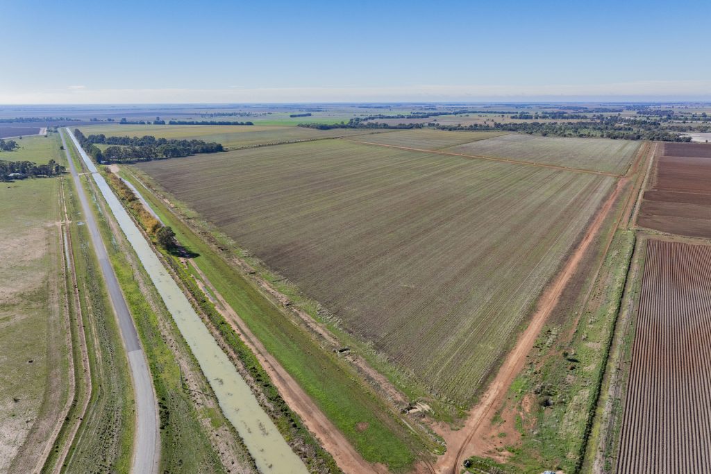 Sold - 762 Channel Nine Road - New Property in Coleambally - Real Estate by Jason Haines