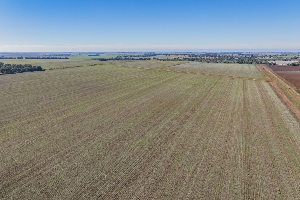 Sold - 762 Channel Nine Road - New Property in Coleambally - Real Estate by Jason Haines