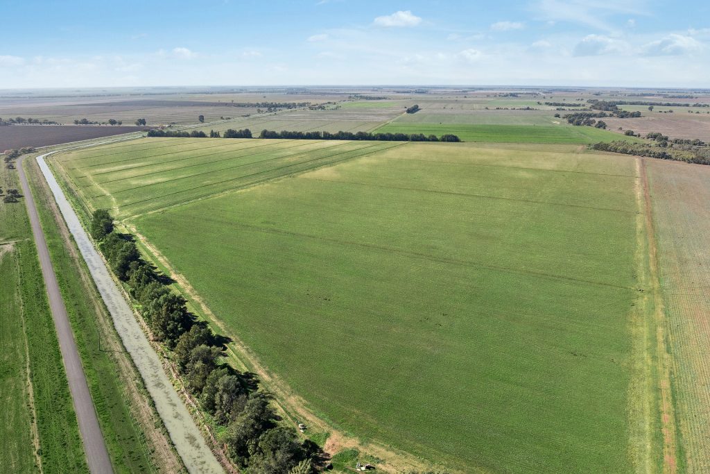 Sold - 762 Channel Nine Road - New Property in Coleambally - Real Estate by Jason Haines