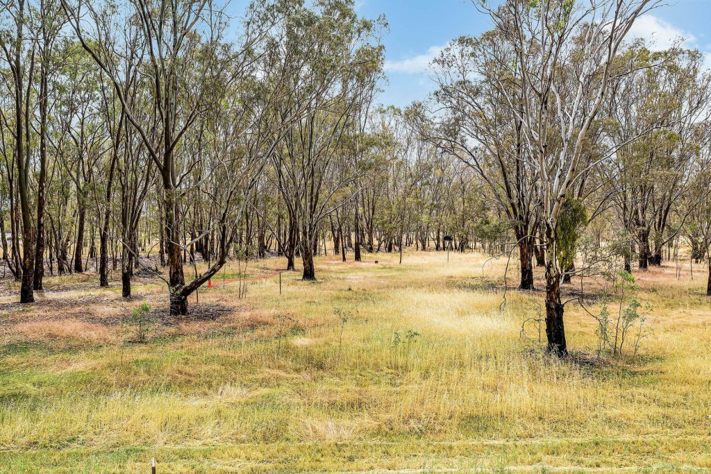 Buy - 16322 Newell Highway - New Property in Narrandera - Real Estate by Andrew Pellow