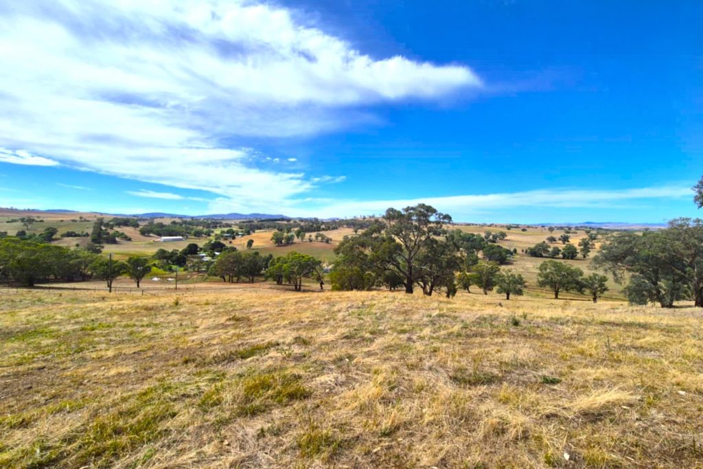 For Sale - Turners Lane - New Property in Cootamundra - Real Estate by
