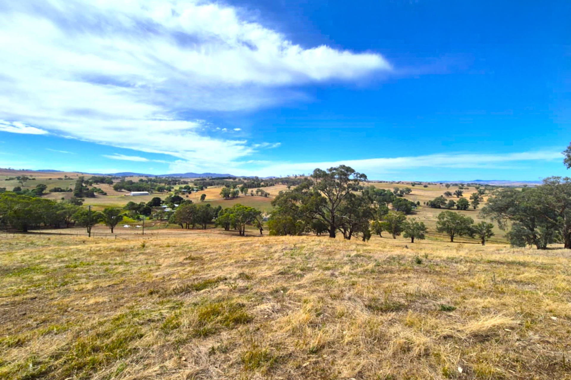 For Sale -  Turners Lane - New Property in Cootamundra - Real Estate by