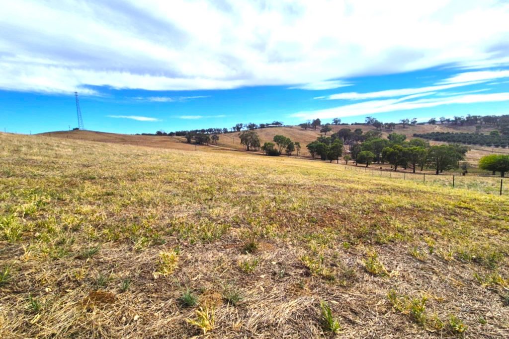 For Sale -  Turners Lane - New Property in Cootamundra - Real Estate by 