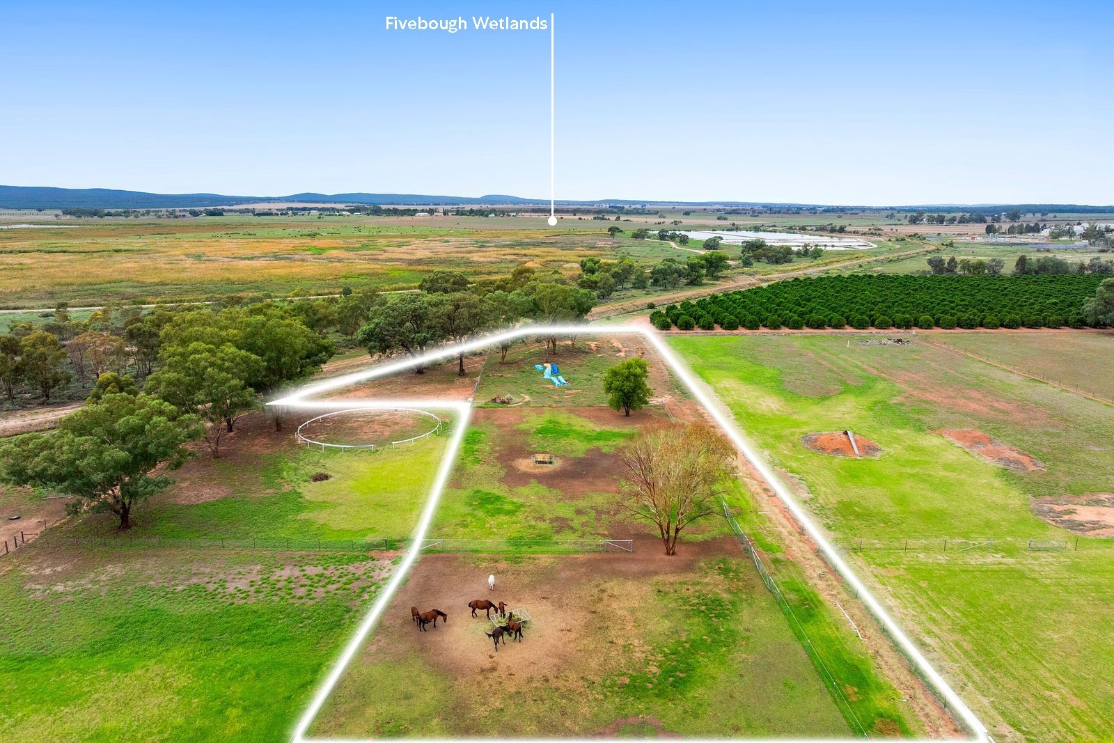 For Sale - 334 Petersham Road - New Property in Leeton - Real Estate by Julie Valenzisi