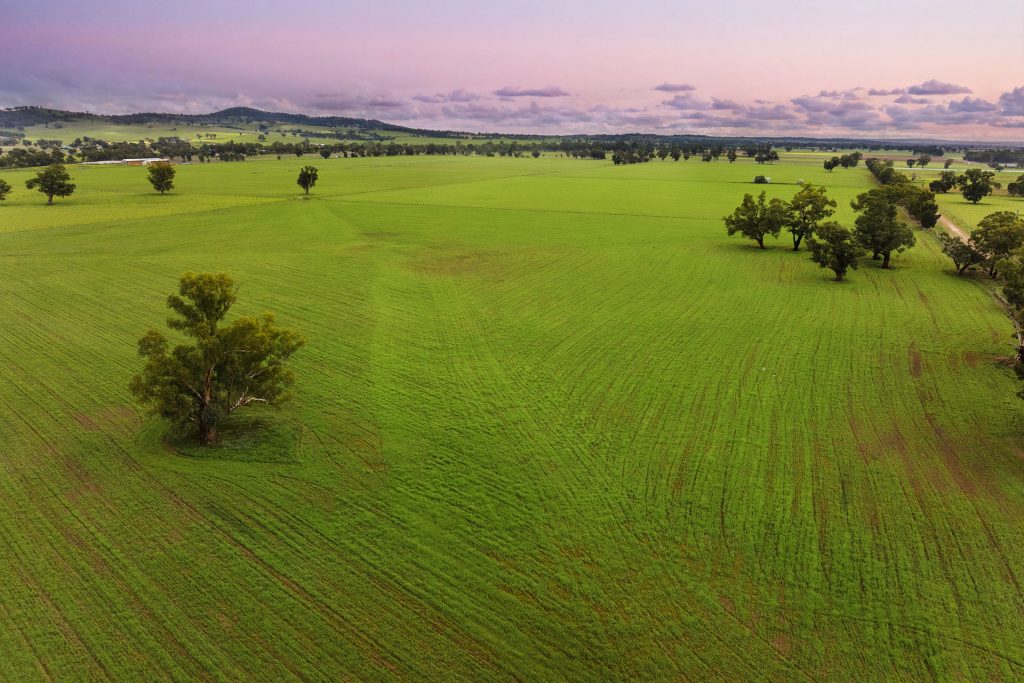 Sold - 453 Old Narrandera Road - New Property in Gobbagombalin - Real Estate by Andrew Pellow