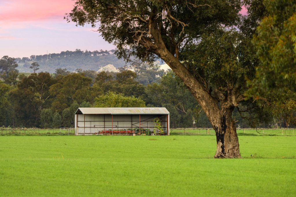 Sold - 453 Old Narrandera Road - New Property in Gobbagombalin - Real Estate by Andrew Pellow