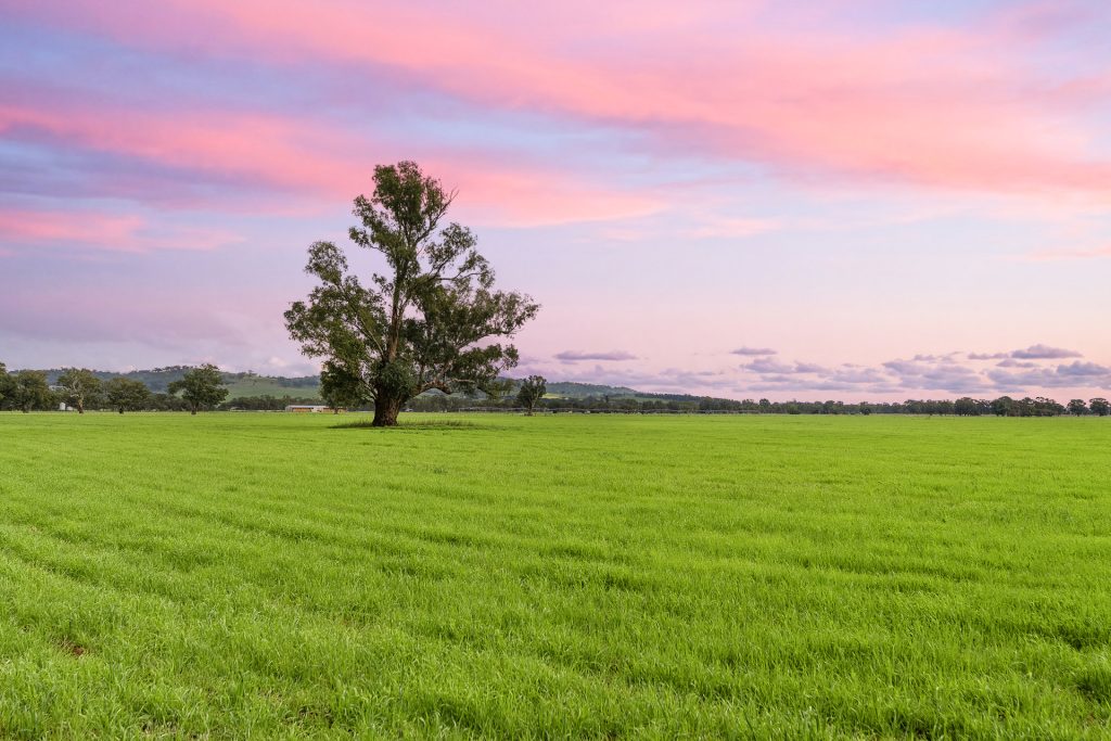 Sold - 453 Old Narrandera Road - New Property in Gobbagombalin - Real Estate by Andrew Pellow