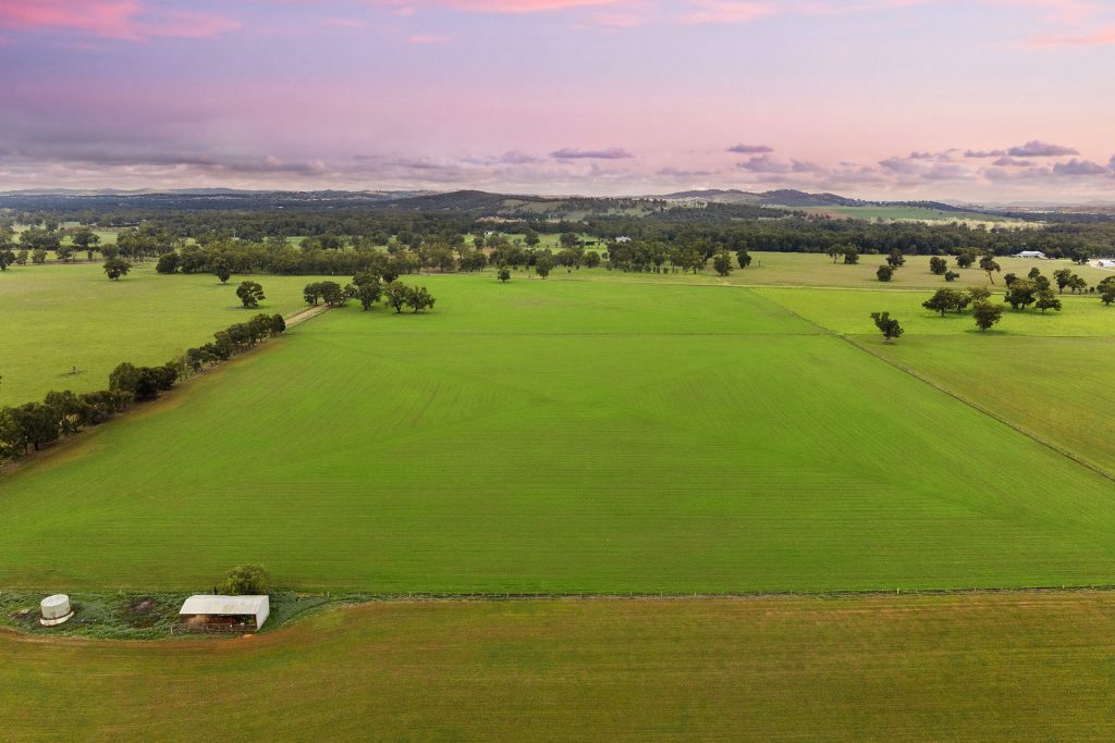Sold - 453 Old Narrandera Road - New Property in Gobbagombalin - Real Estate by Andrew Pellow