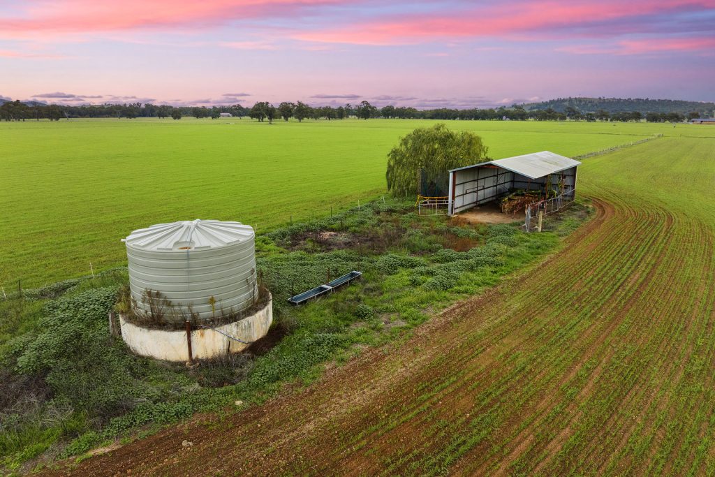 Sold - 453 Old Narrandera Road - New Property in Gobbagombalin - Real Estate by Andrew Pellow