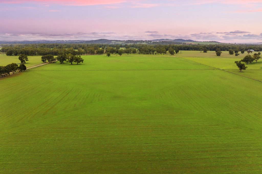 Sold - 453 Old Narrandera Road - New Property in Gobbagombalin - Real Estate by Andrew Pellow