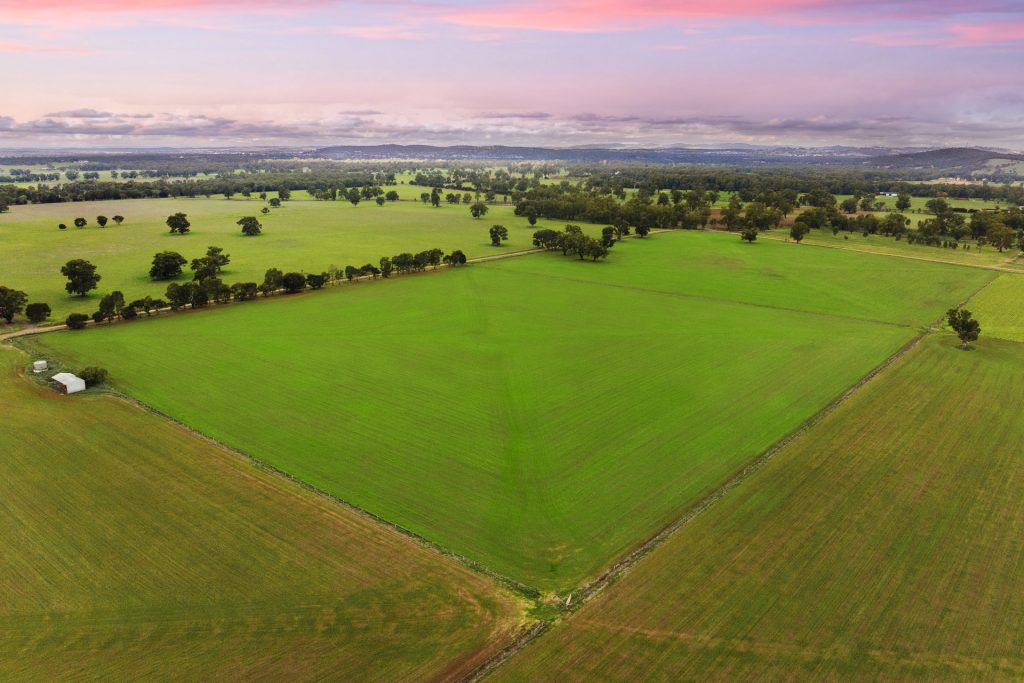 Sold - 453 Old Narrandera Road - New Property in Gobbagombalin - Real Estate by Andrew Pellow