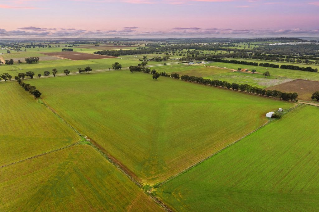 Sold - 453 Old Narrandera Road - New Property in Gobbagombalin - Real Estate by Andrew Pellow