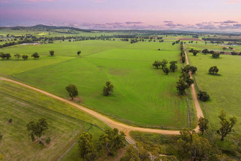 Sold - 453 Old Narrandera Road - New Property in Gobbagombalin - Real Estate by Andrew Pellow