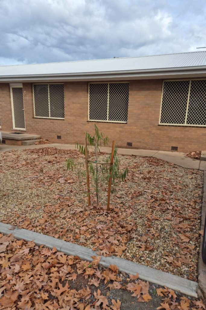 For Rent - 2 Chantilly St - New Property in Narrandera - Real Estate by Alison Andersen