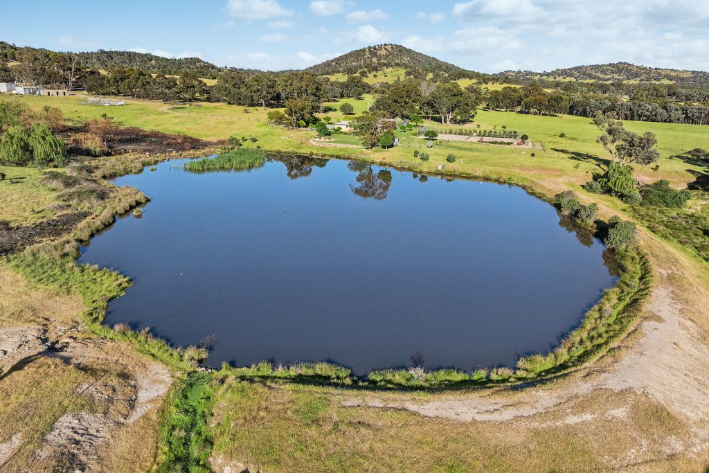 For Sale - 144 Reserve Road - New Property in Gelston Park - Real Estate by Andrew Pellow
