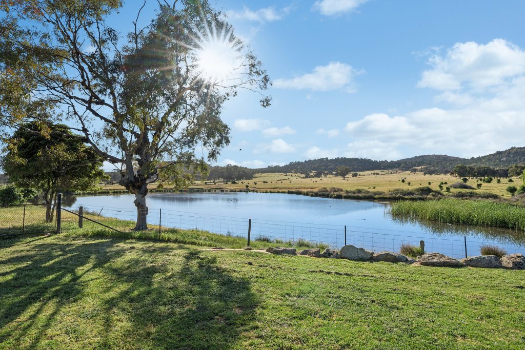 For Sale - 144 Reserve Road - New Property in Gelston Park - Real Estate by Andrew Pellow