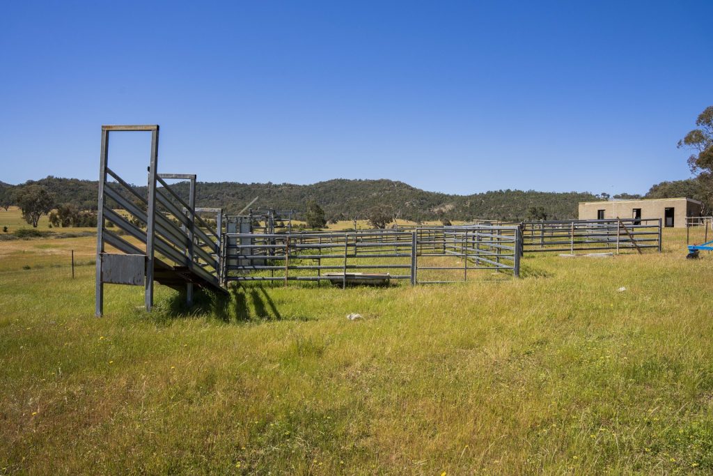 For Sale - 144 Reserve Road - New Property in Gelston Park - Real Estate by Andrew Pellow