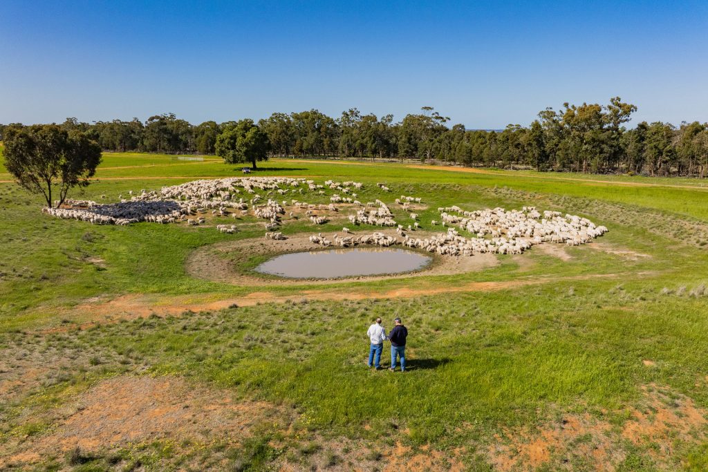 For Sale - 1147 Kamarah Road - New Property in Narrandera - Real Estate by Craig Pellow