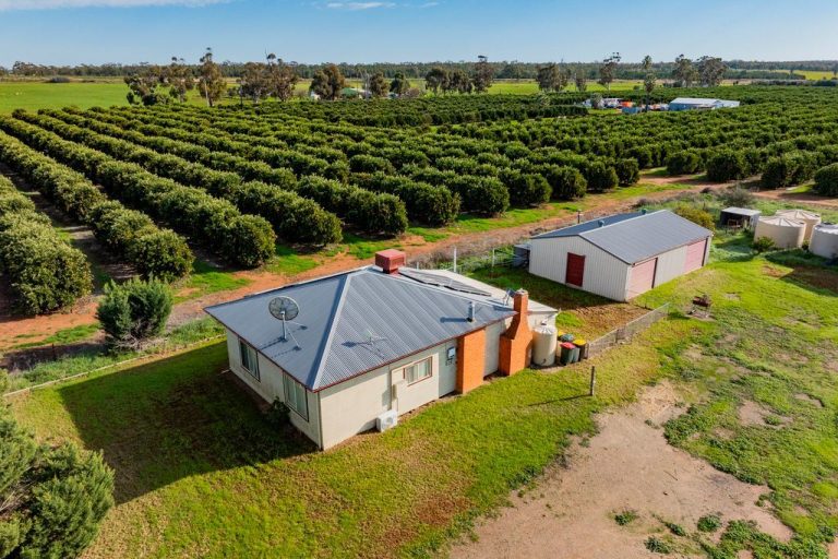 Sold - 504 McNeil Road - New Property in Leeton - Real Estate by Julie Valenzisi