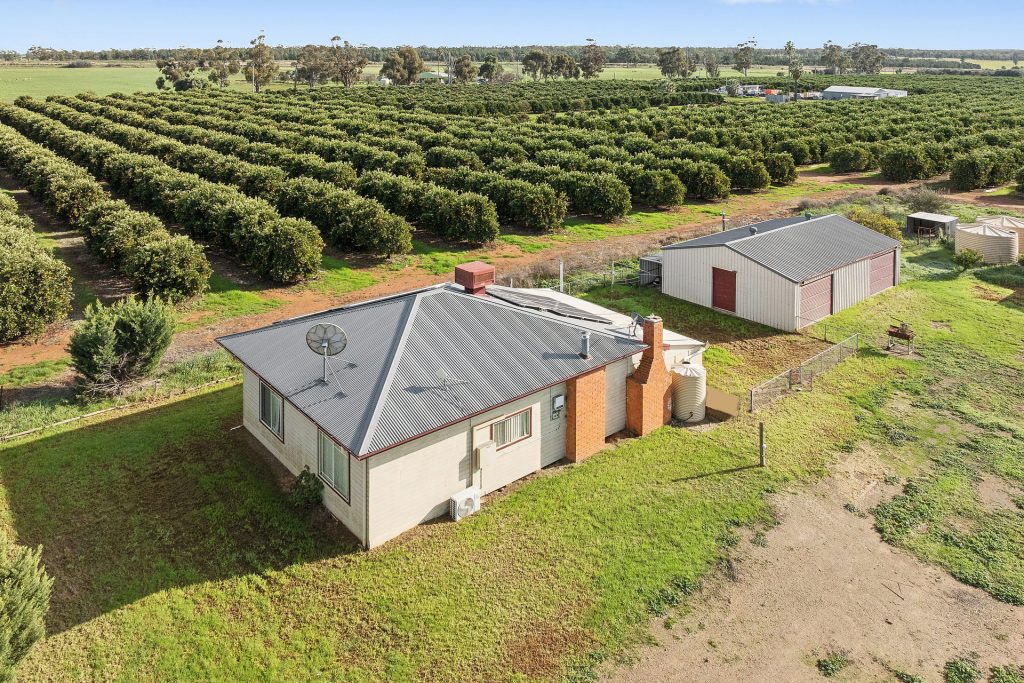 Sold - 504 McNeil Road - New Property in Leeton - Real Estate by Julie Valenzisi